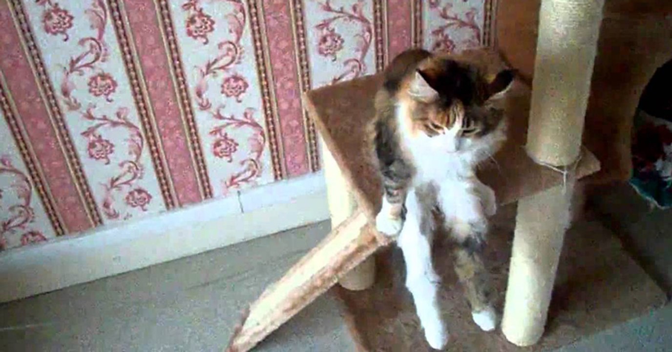 Sat down to rest