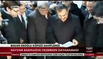 Bakan Veysel Eroğlu Sokak Hayvanları Bakım ve Rehabilitasyon Merkezimizi gezdi