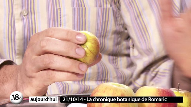 Le pommier - La chronique botanique de Romaric