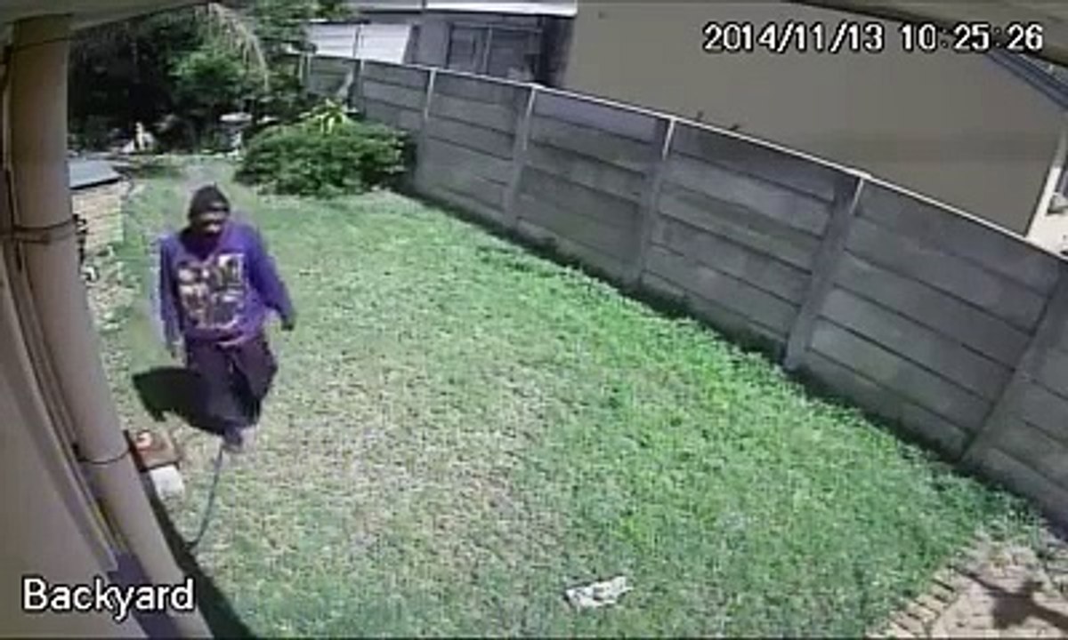 Un petit chien effraye un voleur et c'est bien la honte!