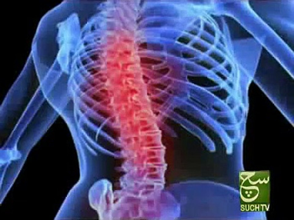 Back Ache Report