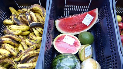 O Desperdício que mata a fome - Program Alimenta Brasil