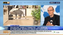 Culture Geek: Collier GPS, gamelle connectée: des nouvelles technologies pour les animaux - 24/11