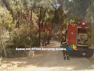 Ώρες αγωνίας για την οικογένεια της 36χρονης από την Ιστιαία