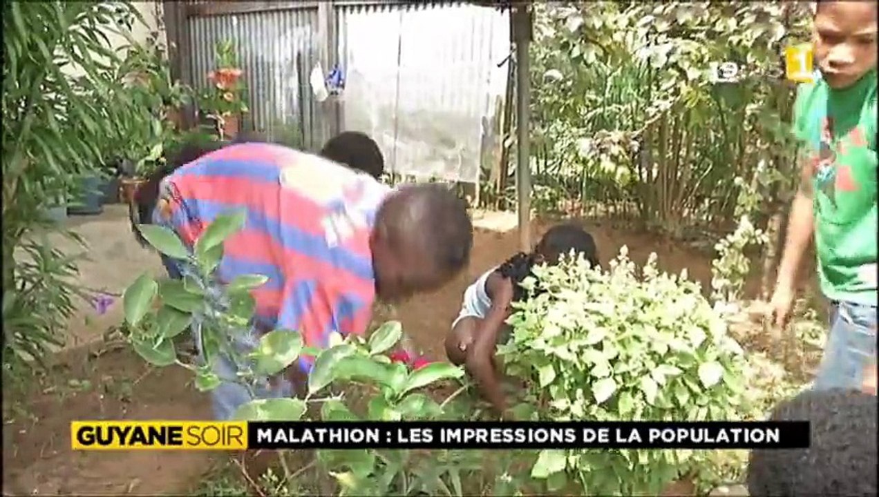 1 semaine de malathion