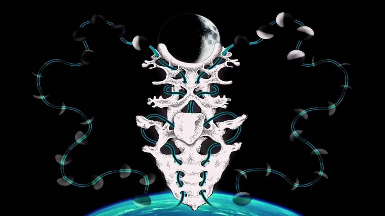 - Björk - 'Moon', extrait de 'Biophilia Live'