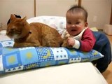 Kedinin kuyruğunu yemeye çalışan bebek  )