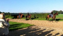 2013-09-26 Entrainement de chevaux