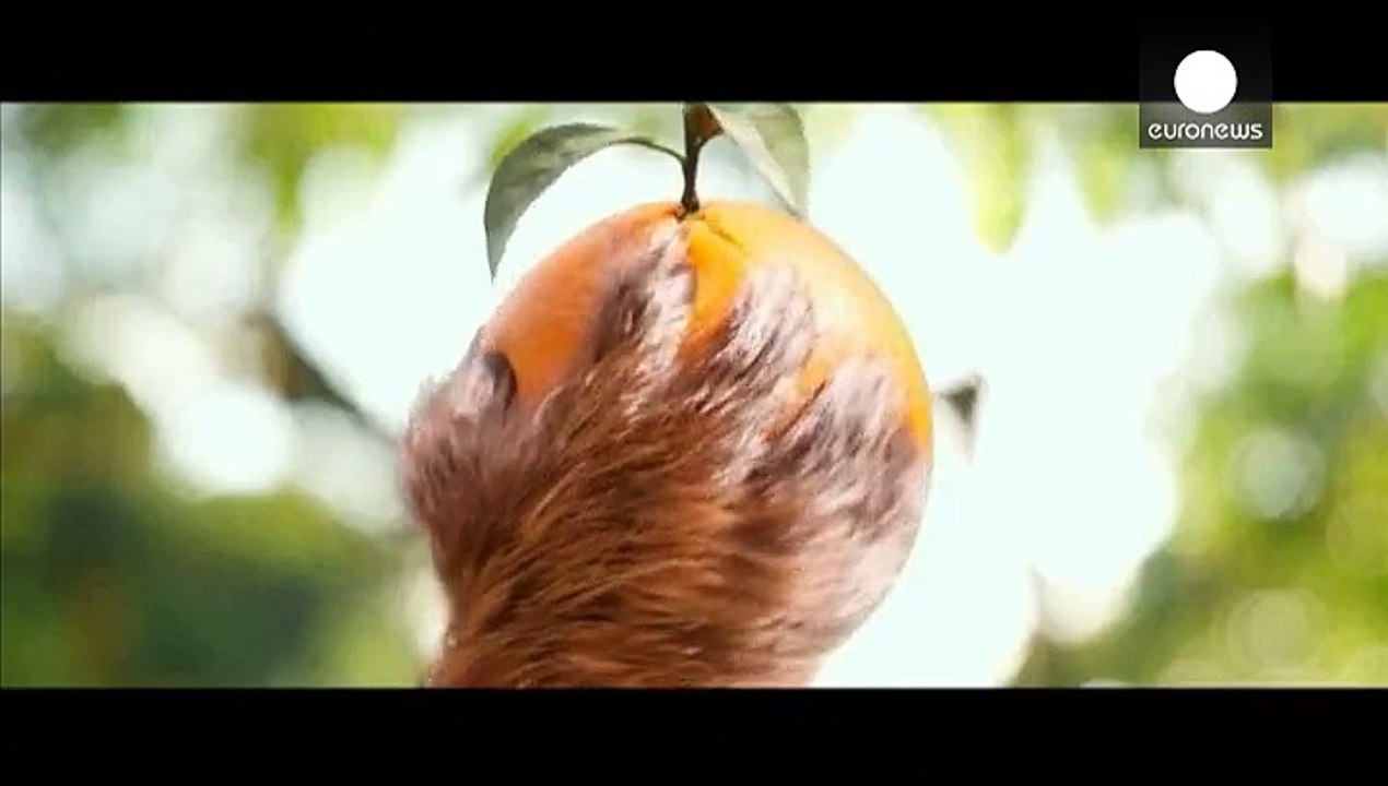 'Paddington', ein Kinospaß für Kinder und ihre Eltern