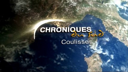 Le grand déballage (Chroniques du Sud Coulisses)