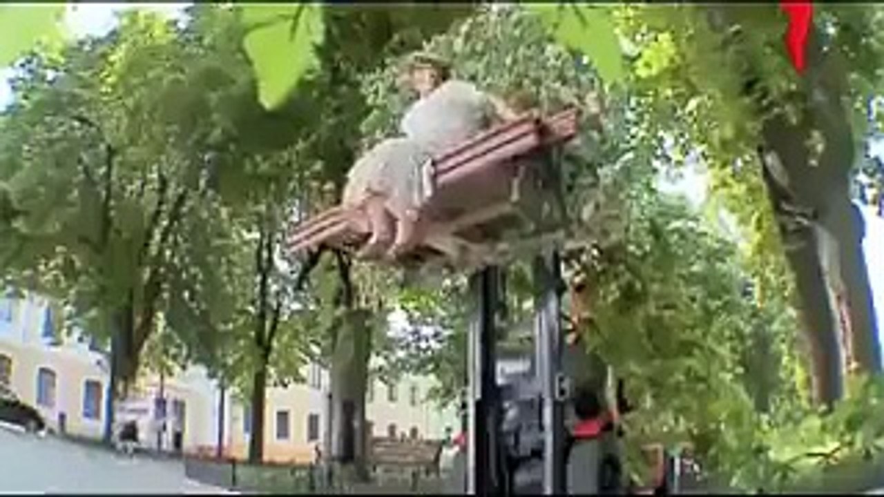 funny never seen before