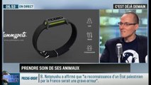 La chronique d'Anthony Morel : Prendre soin de ses animaux grâce aux objets connectés - 24/11