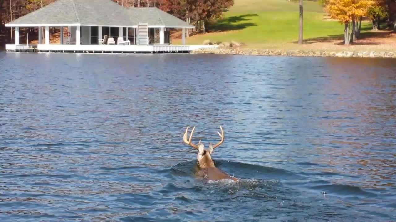 Buck Takes The Plunge