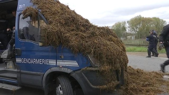 Florange: les agriculteurs répandent du fumier pour interpeller François Hollande