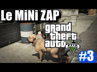 ZAP TV bien WTF et étrange ! (GTA V Zapping)
