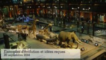 20 ans de la Grande Galerie de l'Évolution : exemples d'évolution et idées reçues (2/5)