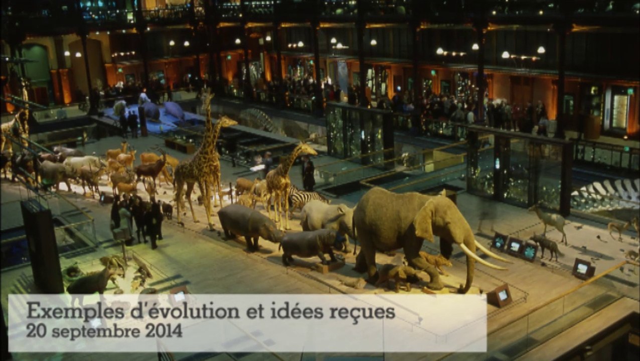 20 ans de la Grande Galerie de l'Évolution : exemples d'évolution et idées reçues (2/5)