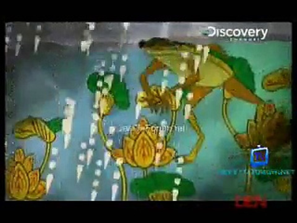 Wild Asia 25th November 2014 Video Watch Online pt1