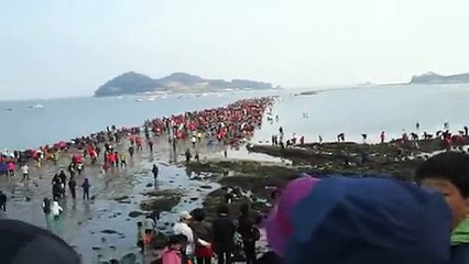 Jindo Sea Parting Science Behind the Magic