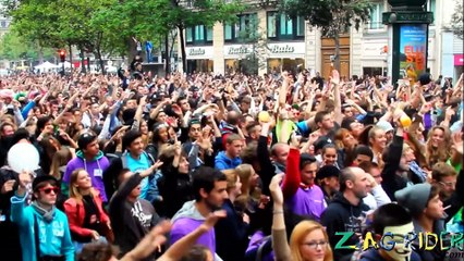 Les 15ans de la Technoparade, reportage video