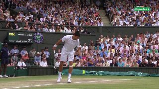 2011-07-03 Wimbledon Final - Djokovic vs Nadal (highlights HD)