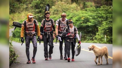 Stray Dog Follows Adventure Racing Team for 6-Day Endurance Race