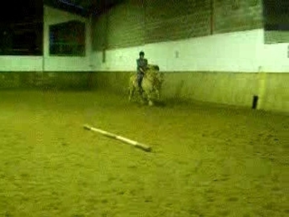 Lou au galop!