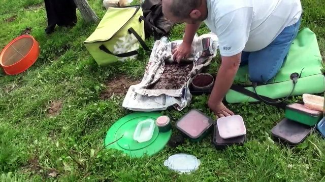 Pêche sportive la Pêche à la ligne Championnat de France de pêche au coup mixte 1ère division Du 29 30 31 août 2014 Chapitre 1