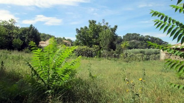 A vendre - Terrain - St Etienne Du Gres (13103) - 1 200m²
