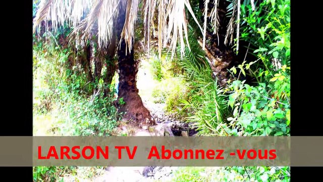 targua ntouchka chtouka ait baha 2014