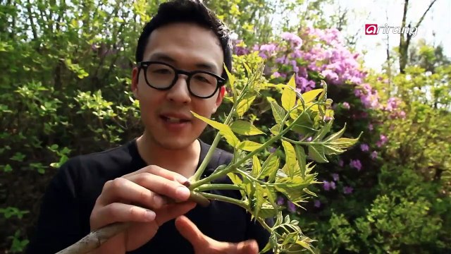 Chefs Foodcation Ep6C1 Fresh Sannamul dishes