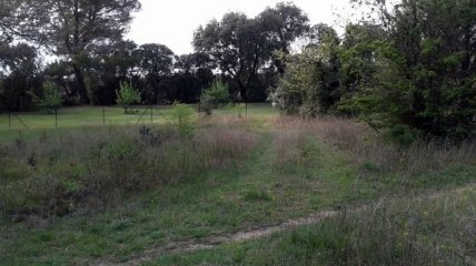 A vendre - Terrain - Plan D Orgon (13750) - 1 608m²