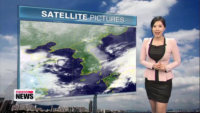 Milder and sunnier day