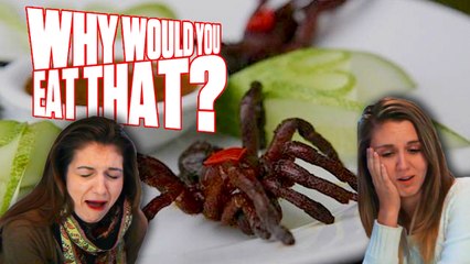 8 Legs and Tastes Like Chicken aka Tarantulas - Why Would You Eat That?