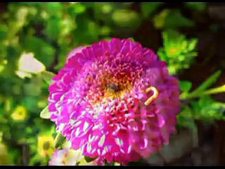 v great naat about mother must listen