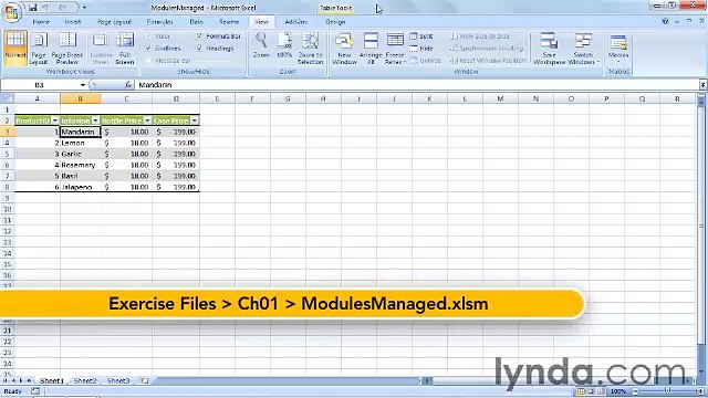 Starting With VBA in Excel lecture 5 modules