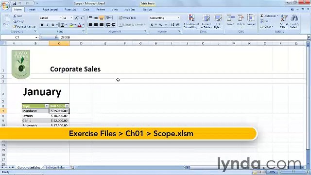 Starting With VBA in Excel lecture 7 procscope