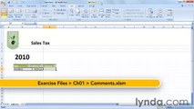 Starting With VBA in Excel lecture 8 comments