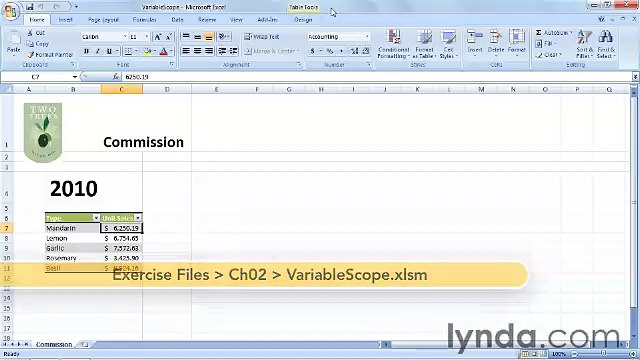 Starting With VBA in Excel lecture 14 varscope
