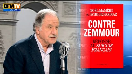 "Zemmour est un petit peu l'idiot utile de Marine Le Pen", selon Mamère
