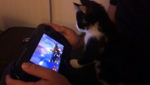Un chat trop mignon joue à Super Smash Bros WiiU - Nintendo