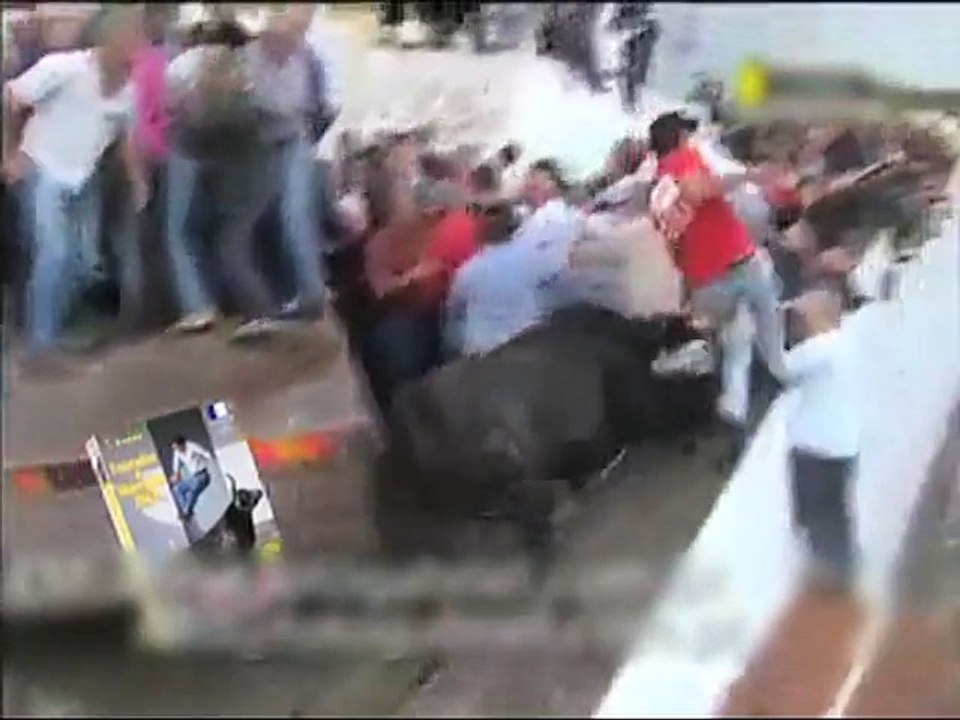 Dunya News- Enraged Bull Leaps into crowd
