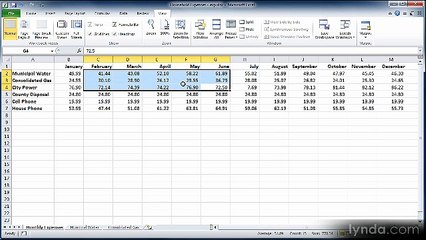 Excel essential 2010 lecture 9 movingAround
