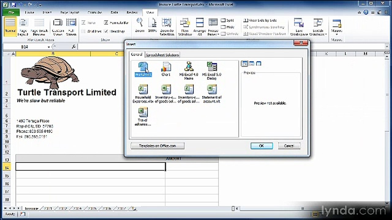 Excel essential 2010 lecture 10 worksheet Management
