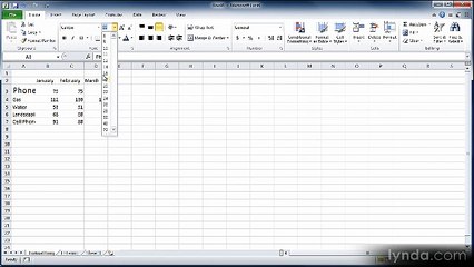 Excel essential 2010 lecture 11 enterFormat