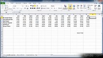 Excel essential 2010 lecture 14 autosum Fill