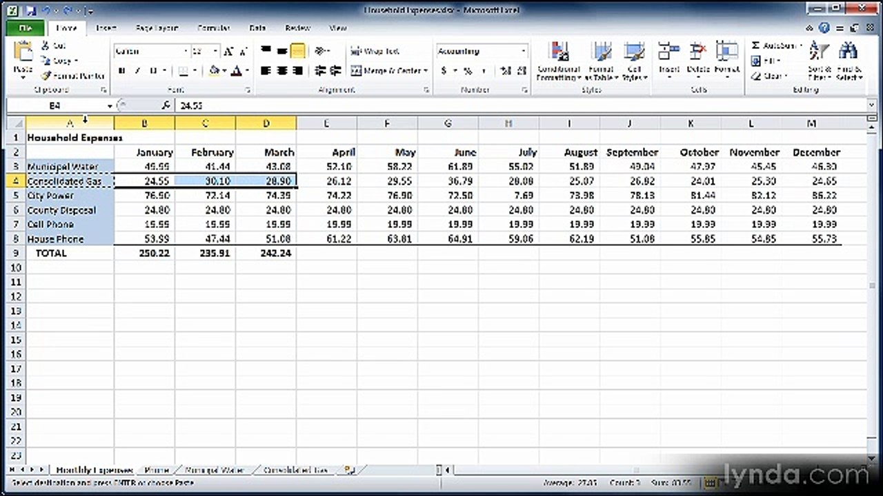 Excel essential 2010 lecture 17 cutPaste