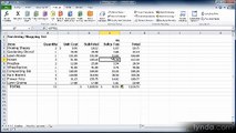 Excel essential 2010 lecture 26 name Cells