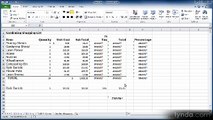 Excel essential 2010 lecture 27 common Errors