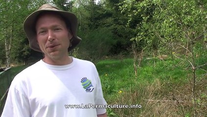 Pourquoi & comment commencer de la permaculture autour de chez soi